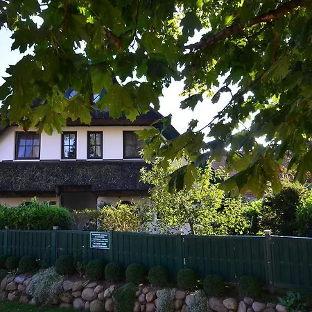 Grosses-reethaus-17c-duenenrose Groß Zicker