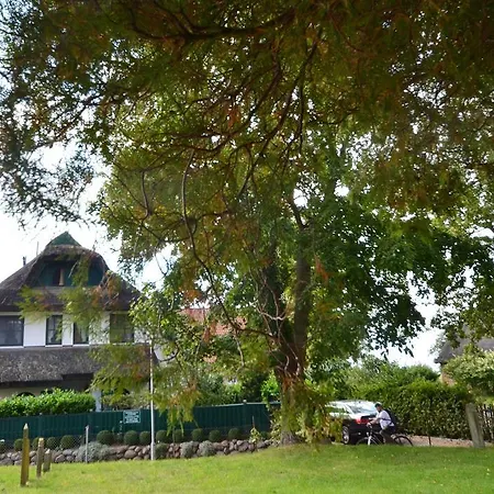 Grosses-reethaus-17c-duenenrose *